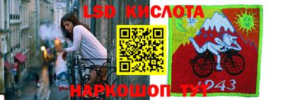 ГАЛЛЮЦИНОГЕННЫЕ ГРИБЫ Гусь-Хрустальный