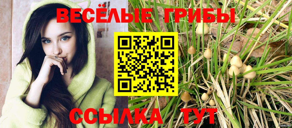 Псилоцибиновые грибы мицелий Мирный